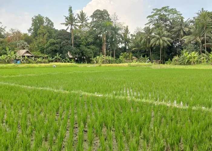 Wonderful Private With Pool With Beautiful Views Of The Rice Fields