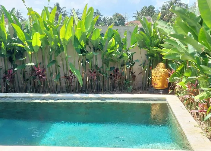 Wonderful Private With Pool With Beautiful Views Of The Rice Fields * Ubud